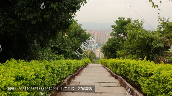 古長城深圳求水山公園景點(diǎn)