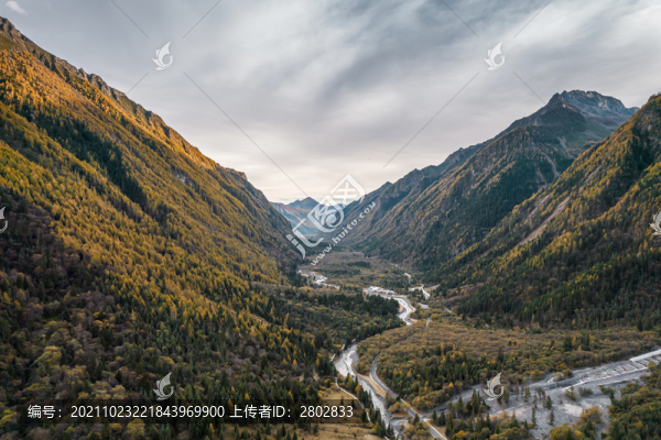秋季川西四姑娘山森林風(fēng)光