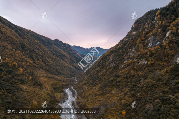 川西高原秋季高山森林自然風(fēng)光