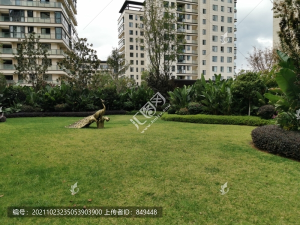 小區(qū)綠化景觀草地