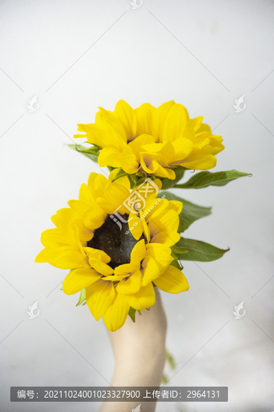 贈(zèng)花