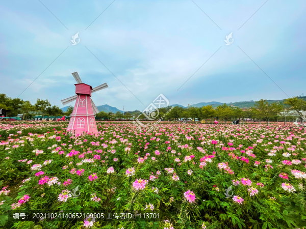 花海生態(tài)園