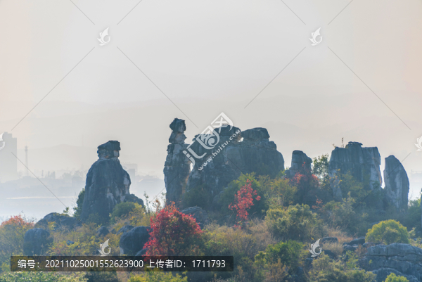 中國(guó)云南昆明石林風(fēng)景區(qū)