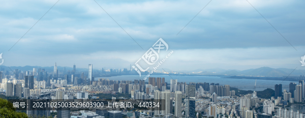 壯麗的深圳灣建筑群