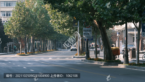 天津街頭秋季美景