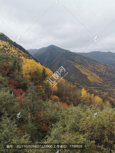秋景