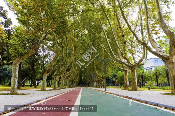 休閑公園步行道