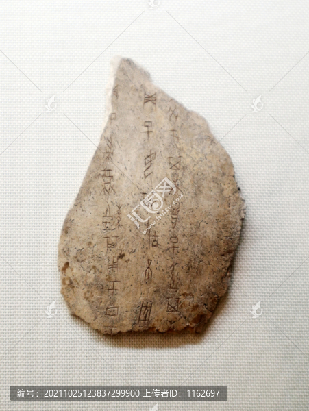 商代子母其毓卜骨