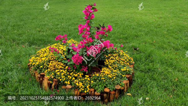 蝴蝶小花園