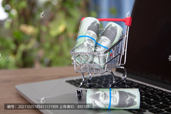 裝著韓元鈔票的購物車模型