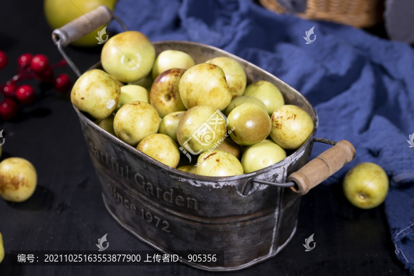 大荔冬棗