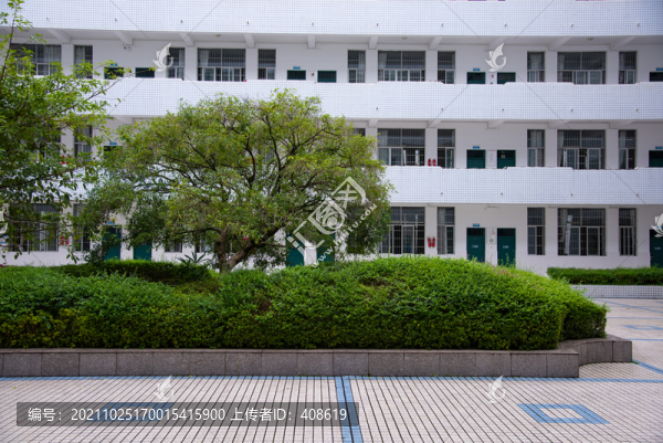 校園景色