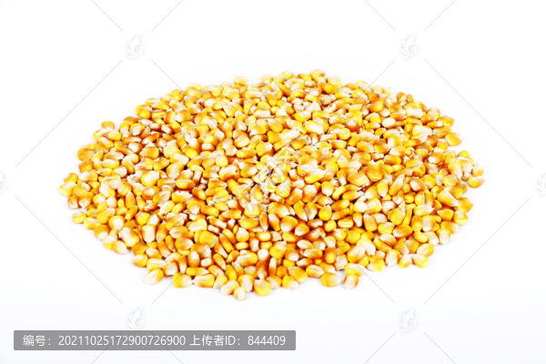 白色背景下的玉米粒