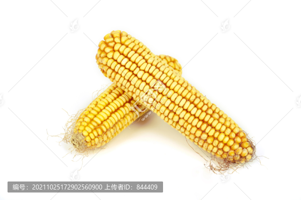 兩個(gè)玉米穗