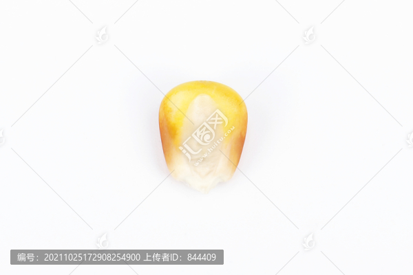 一個(gè)玉米粒
