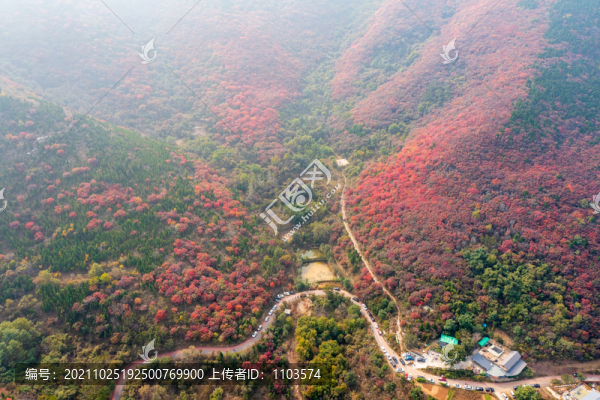 濟南彩石捎近村漫山紅葉