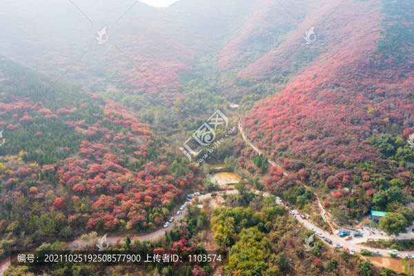 濟(jì)南彩石捎近村漫山紅葉