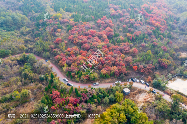 濟(jì)南彩石捎近村漫山紅葉