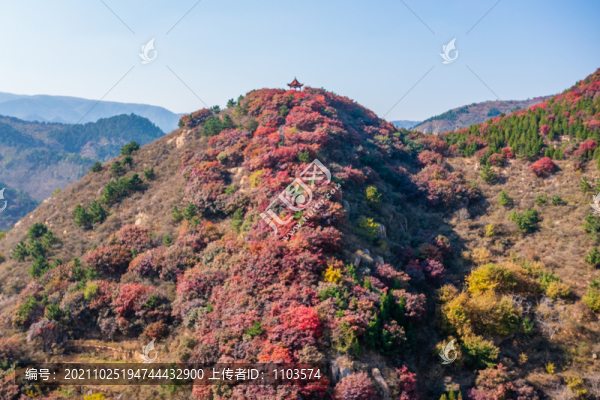 航拍濟(jì)南紅山翠谷景區(qū)的漫山紅葉