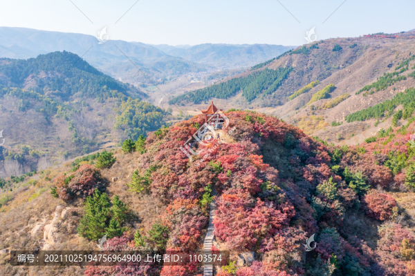 航拍濟南紅山翠谷景區(qū)的漫山紅葉