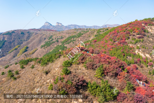 航拍濟(jì)南紅山翠谷景區(qū)的漫山紅葉
