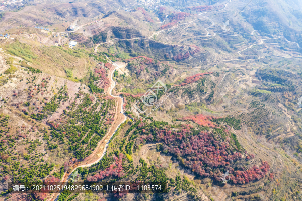 航拍濟(jì)南紅山翠谷景區(qū)的漫山紅葉