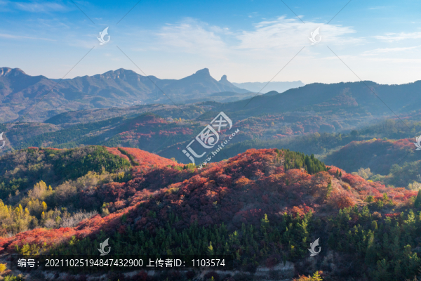 航拍濟(jì)南紅山翠谷景區(qū)的漫山紅葉