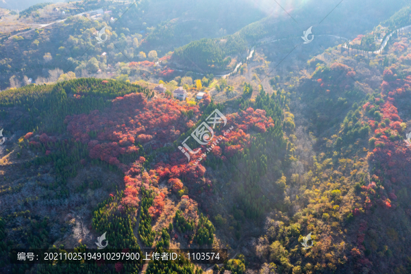 航拍濟(jì)南紅山翠谷景區(qū)的漫山紅葉