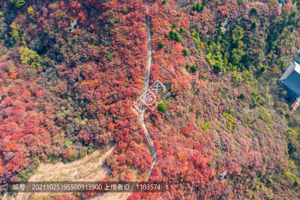 航拍濟(jì)南章丘蓮花山紅葉
