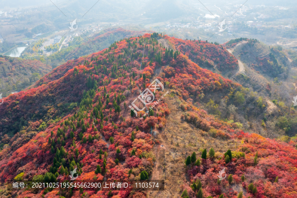 航拍濟南章丘蓮花山紅葉