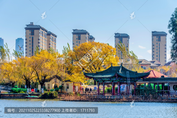 中國云南昆明大觀公園風光