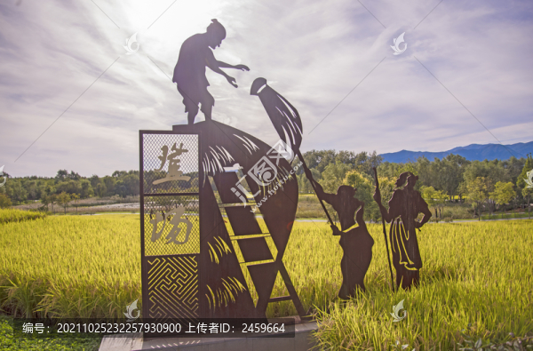 京西稻花香