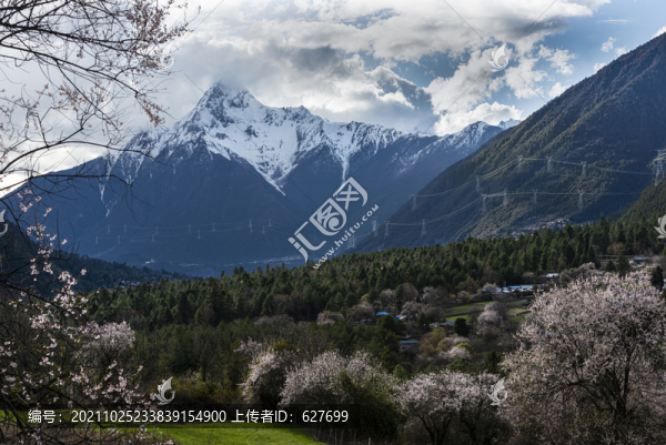 林芝風(fēng)光