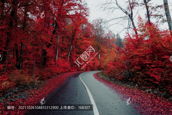 秋景