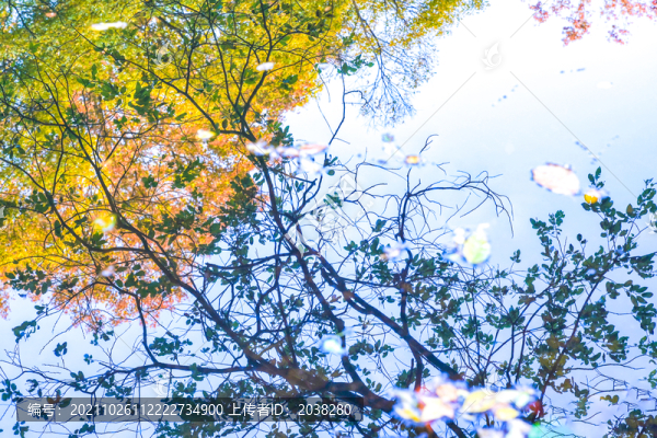 南京鐘山風(fēng)景區(qū)流徽榭水中秋色