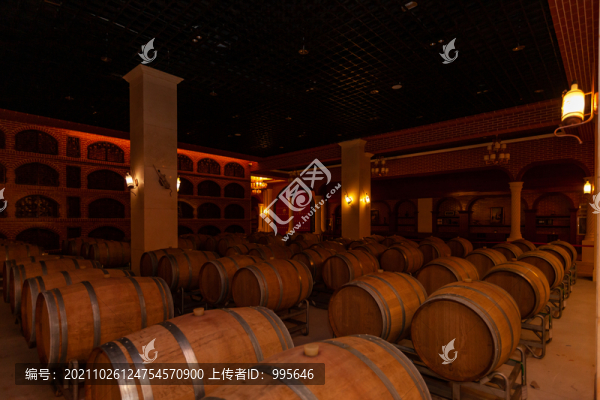 紅酒酒窖