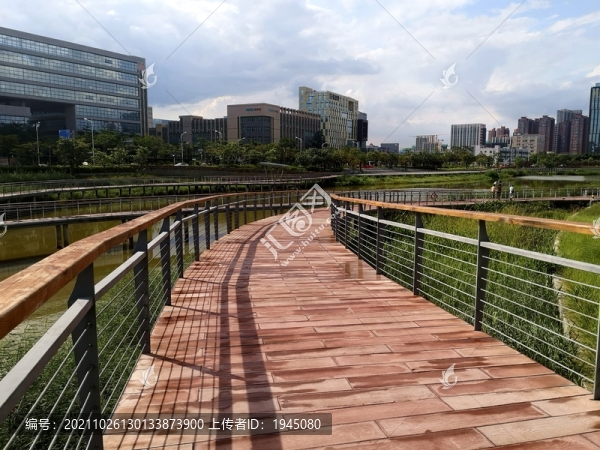 城市中的公園步道
