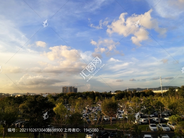城市公園自然風(fēng)光