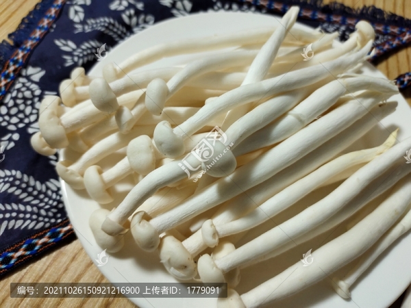 海鮮菇