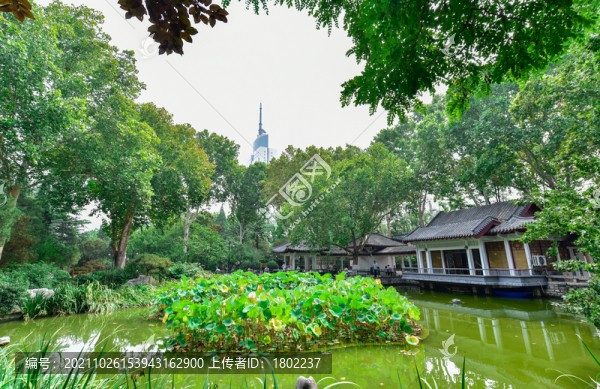 城市公園