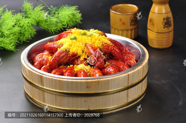 土豪金龍蝦