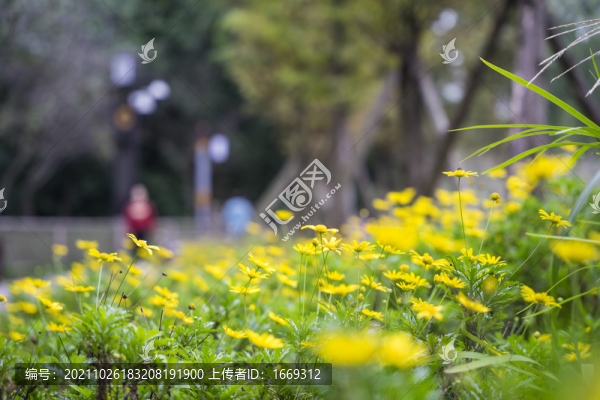 成都浣花溪公園