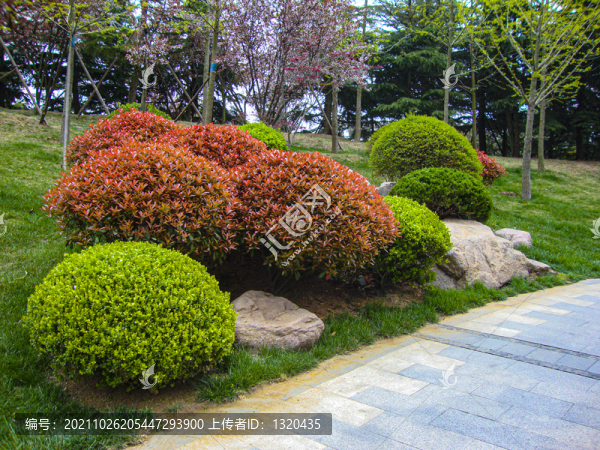 小區(qū)景觀