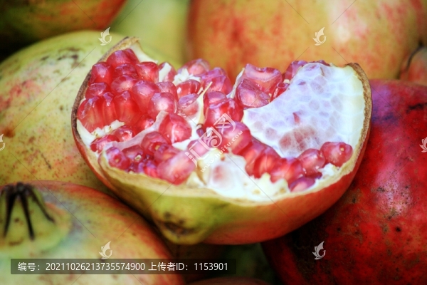 石榴