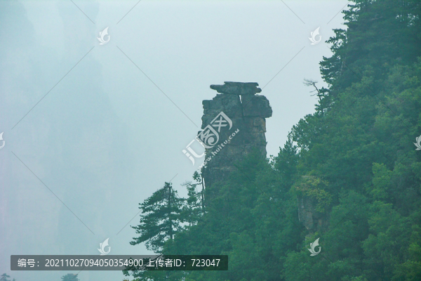 張家界國(guó)家森林公園