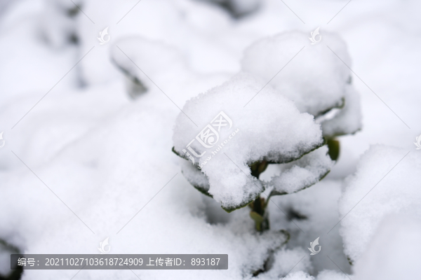 中國(guó)北方嚴(yán)寒的冬季降下的白雪