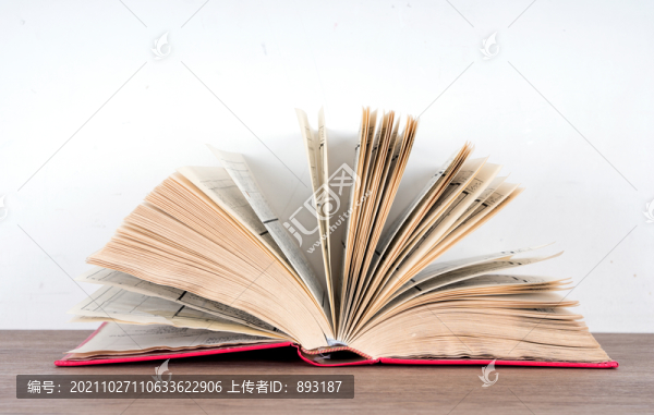 一本翻開的書籍