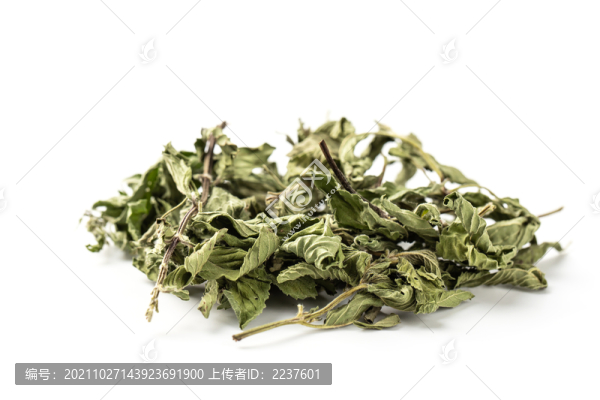 薄荷葉茶