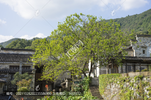 安徽宏村鎮(zhèn)塔川村農(nóng)村風光