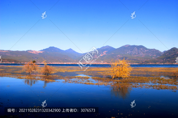 藍色湖